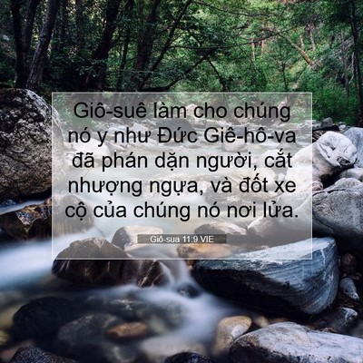 Picture 07 - Giô-sua 11:9 VIE - Giô-suê làm cho chúng nó y như Đức - Bible Verse Picture