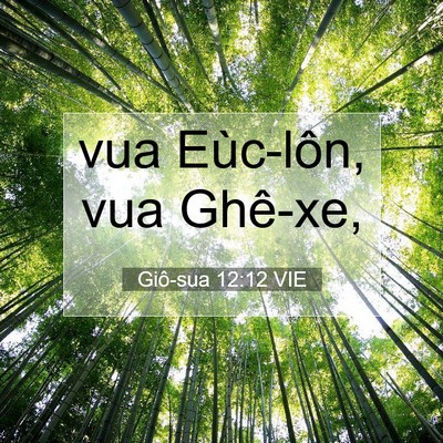 Picture 07 - Giô-sua 12:12 VIE - vua Eùc-lôn, vua - Bible Verse Picture