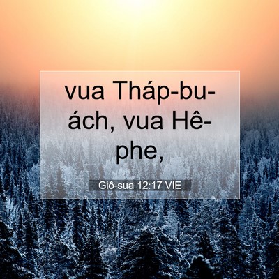 Picture 07 - Giô-sua 12:17 VIE - vua Tháp-bu-ách, vua - Bible Verse Picture
