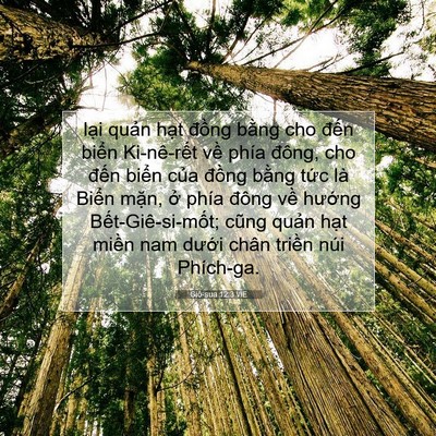 Picture 07 - Giô-sua 12:3 VIE - lại quản hạt đồng bằng cho đến - Bible Verse Picture