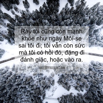 Picture 07 - Giô-sua 14:11 VIE - Rày tôi cũng còn mạnh khỏe như ngày - Bible Verse Picture