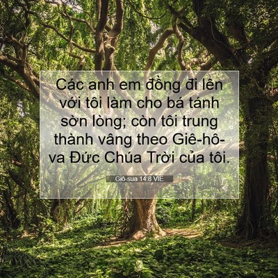 Picture 07 - Giô-sua 14:8 VIE - Các anh em đồng đi lên với tôi làm cho - Bible Verse Picture