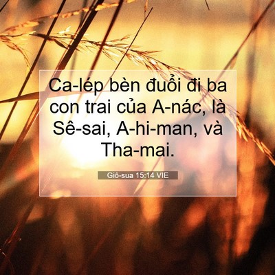 Picture 07 - Giô-sua 15:14 VIE - Ca-lép bèn đuổi đi ba con trai của - Bible Verse Picture