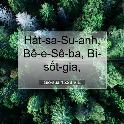 Picture 07 - Giô-sua 15:28 VIE - Hát-sa-Su-anh, Bê-e-Sê-ba, - Bible Verse Picture
