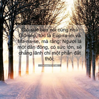 Picture 07 - Giô-sua 17:17 VIE - Giô-suê bèn nói cùng nhà Giô-sép, tức - Bible Verse Picture