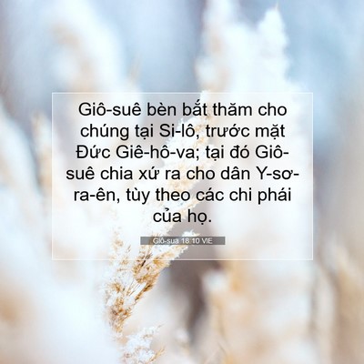 Picture 07 - Giô-sua 18:10 VIE - Giô-suê bèn bắt thăm cho chúng tại - Bible Verse Picture