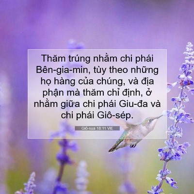 Picture 07 - Giô-sua 18:11 VIE - Thăm trúng nhằm chi phái Bên-gia-min, tùy - Bible Verse Picture