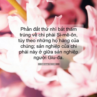 Picture 07 - Giô-sua 19:1 VIE - Phần đất thứ nhì bắt thăm trúng về - Bible Verse Picture