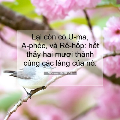 Picture 07 - Giô-sua 19:30 VIE - Lại còn có U-ma, A-phéc, và Rê-hốp: - Bible Verse Picture