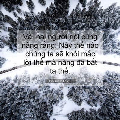 Picture 07 - Giô-sua 2:17 VIE - Vả, hai người nói cùng nàng rằng: Này - Bible Verse Picture