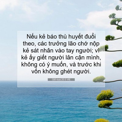 Picture 07 - Giô-sua 20:5 VIE - Nếu kẻ báo thù huyết đuổi theo, các - Bible Verse Picture