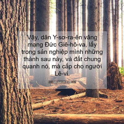 Picture 07 - Giô-sua 21:3 VIE - Vậy, dân Y-sơ-ra-ên vâng mạng Đức - Bible Verse Picture