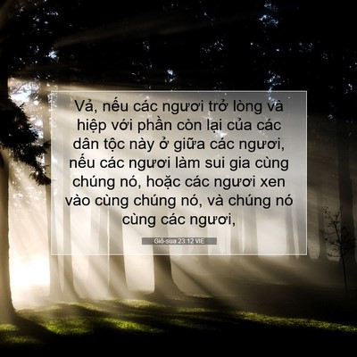 Picture 07 - Giô-sua 23:12 VIE - Vả, nếu các ngươi trở lòng và hiệp - Bible Verse Picture