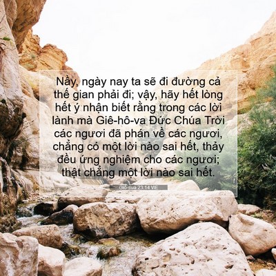 Picture 07 - Giô-sua 23:14 VIE - Nầy, ngày nay ta sẽ đi đường cả thế - Bible Verse Picture