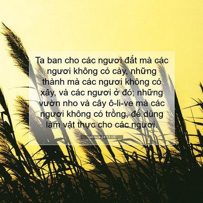 Picture 07 - Giô-sua 24:13 VIE - Ta ban cho các ngươi đất mà các ngươi - Bible Verse Picture