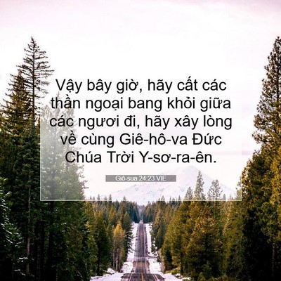 Picture 07 - Giô-sua 24:23 VIE - Vậy bây giờ, hãy cất các thần ngoại - Bible Verse Picture