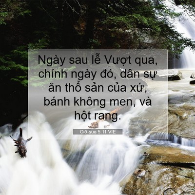 Picture 07 - Giô-sua 5:11 VIE - Ngày sau lễ Vượt qua, chính ngày đó, - Bible Verse Picture