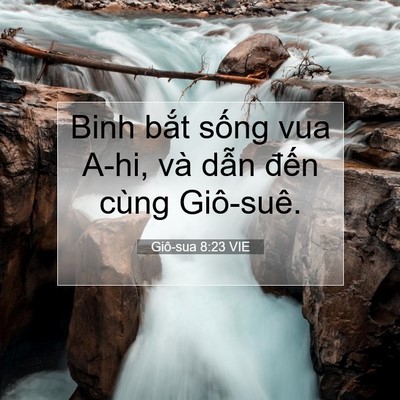 Picture 07 - Giô-sua 8:23 VIE - Binh bắt sống vua A-hi, và dẫn đến - Bible Verse Picture