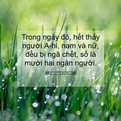 Picture 07 - Giô-sua 8:25 VIE - Trong ngày đó, hết thảy người A-hi, nam - Bible Verse Picture