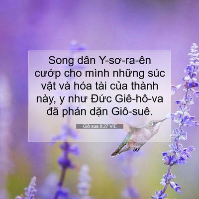 Picture 07 - Giô-sua 8:27 VIE - Song dân Y-sơ-ra-ên cướp cho mình những - Bible Verse Picture