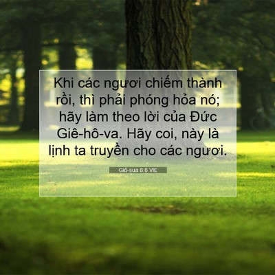 Picture 07 - Giô-sua 8:8 VIE - Khi các ngươi chiếm thành rồi, thì - Bible Verse Picture