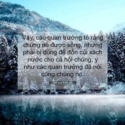 Picture 07 - Giô-sua 9:21 VIE - Vậy, các quan trưởng tỏ rằng chúng nó - Bible Verse Picture