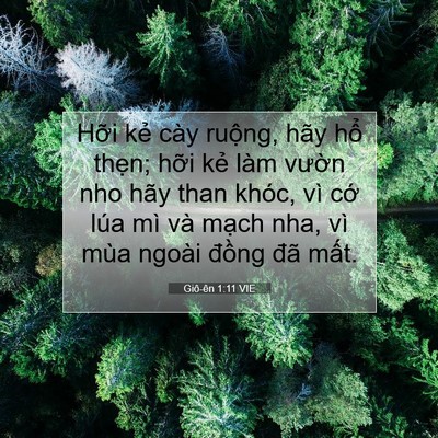 Picture 07 - Giô-ên 1:11 VIE - Hỡi kẻ cày ruộng, hãy hổ thẹn; hỡi - Bible Verse Picture
