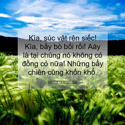 Picture 07 - Giô-ên 1:18 VIE - Kìa, súc vật rên siếc! Kìa, bầy bò - Bible Verse Picture