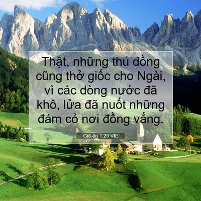 Picture 07 - Giô-ên 1:20 VIE - Thật, những thú đồng cũng thở giốc - Bible Verse Picture