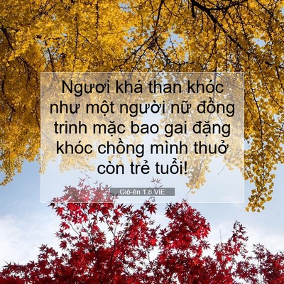Picture 07 - Giô-ên 1:8 VIE - Ngươi khá than khóc như một người nữ - Bible Verse Picture