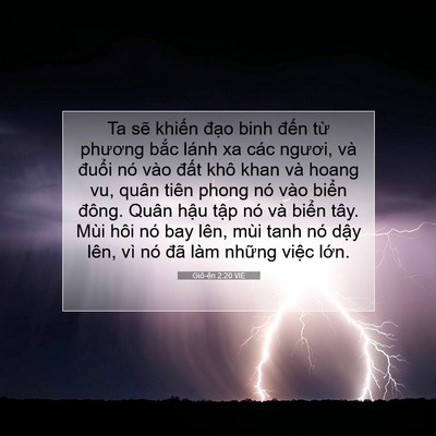 Picture 07 - Giô-ên 2:20 VIE - Ta sẽ khiến đạo binh đến từ phương - Bible Verse Picture