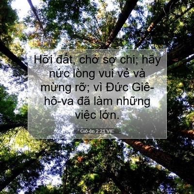 Picture 07 - Giô-ên 2:21 VIE - Hỡi đất, chớ sợ chi; hãy nức lòng - Bible Verse Picture