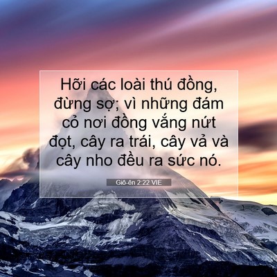 Picture 07 - Giô-ên 2:22 VIE - Hỡi các loài thú đồng, đừng sợ; vì - Bible Verse Picture