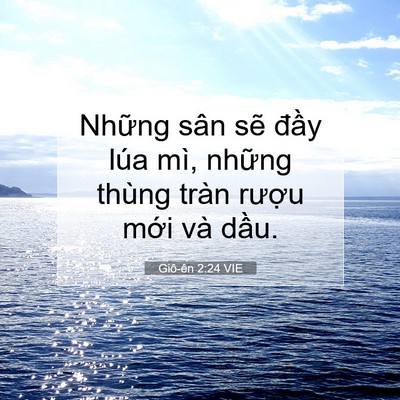 Picture 07 - Giô-ên 2:24 VIE - Những sân sẽ đầy lúa mì, những thùng - Bible Verse Picture