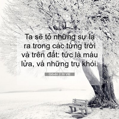 Picture 07 - Giô-ên 2:30 VIE - Ta sẽ tỏ những sự lạ ra trong các - Bible Verse Picture