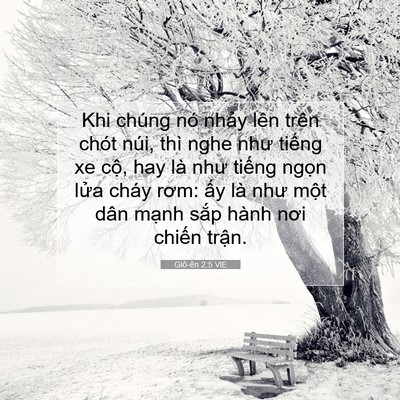 Picture 07 - Giô-ên 2:5 VIE - Khi chúng nó nhảy lên trên chót núi, thì - Bible Verse Picture