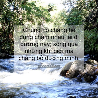 Picture 07 - Giô-ên 2:8 VIE - Chúng nó chẳng hề đụng chạm nhau, ai - Bible Verse Picture