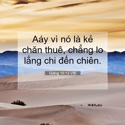 Picture 07 - Giăng 10:13 VIE - Aáy vì nó là kẻ chăn thuê, chẳng lo - Bible Verse Picture