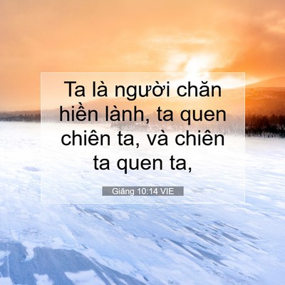 Picture 07 - Giăng 10:14 VIE - Ta là người chăn hiền lành, ta quen - Bible Verse Picture