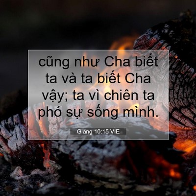 Picture 07 - Giăng 10:15 VIE - cũng như Cha biết ta và ta biết Cha vậy; - Bible Verse Picture