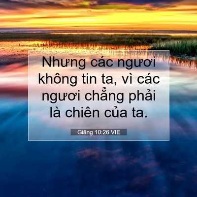 Picture 07 - Giăng 10:26 VIE - Nhưng các ngươi không tin ta, vì các - Bible Verse Picture