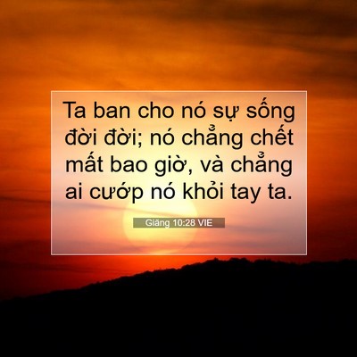 Picture 07 - Giăng 10:28 VIE - Ta ban cho nó sự sống đời đời; nó - Bible Verse Picture