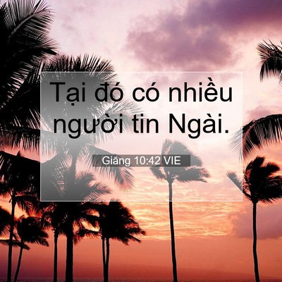 Picture 07 - Giăng 10:42 VIE - Tại đó có nhiều người tin - Bible Verse Picture