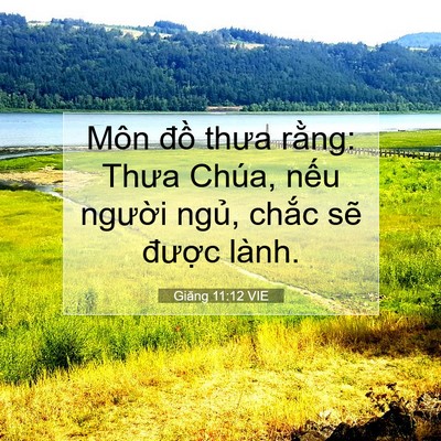 Picture 07 - Giăng 11:12 VIE - Môn đồ thưa rằng: Thưa Chúa, nếu - Bible Verse Picture