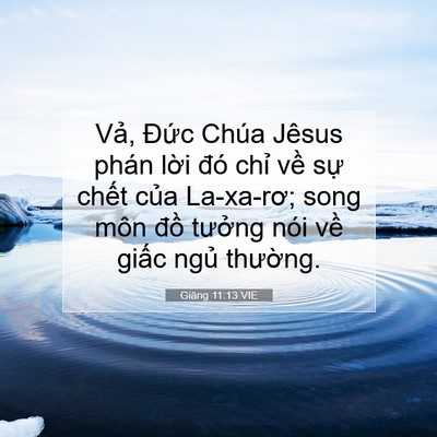 Picture 07 - Giăng 11:13 VIE - Vả, Đức Chúa Jêsus phán lời đó chỉ - Bible Verse Picture