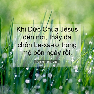 Picture 07 - Giăng 11:17 VIE - Khi Đức Chúa Jêsus đến nơi, thấy đã - Bible Verse Picture