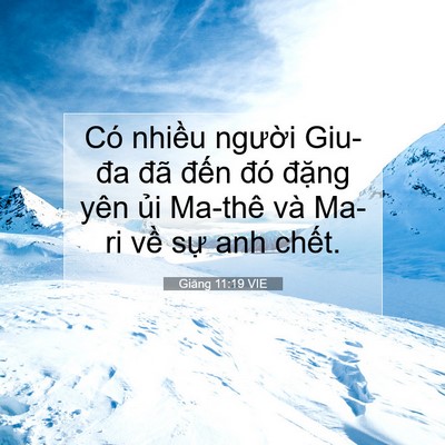 Picture 07 - Giăng 11:19 VIE - Có nhiều người Giu-đa đã đến đó - Bible Verse Picture