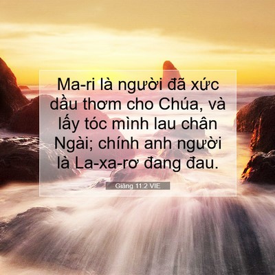 Picture 07 - Giăng 11:2 VIE - Ma-ri là người đã xức dầu thơm cho - Bible Verse Picture