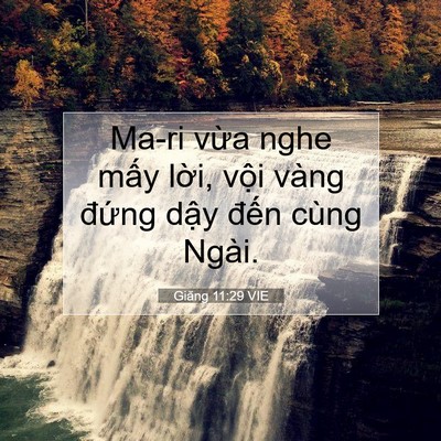 Picture 07 - Giăng 11:29 VIE - Ma-ri vừa nghe mấy lời, vội vàng đứng - Bible Verse Picture