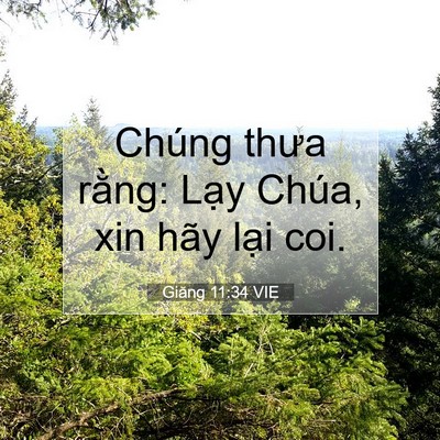Picture 07 - Giăng 11:34 VIE - Chúng thưa rằng: Lạy Chúa, xin hãy lại - Bible Verse Picture